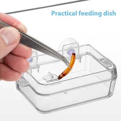 HEMOTON 2pcs Reptile Feeding Bowl for Bearded Dragon and Snakes, Plastic Escape Proof Feeder Dish with High Hardness and Smooth Surface, Suitable for Feeding and Watering