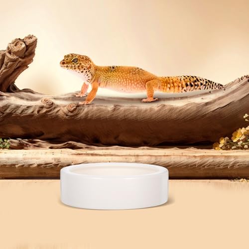 2 Pcs Ceramics Reptile Feeding Bowls for Small Reptile Animals and Lizards, White Round Bowls with Stable Desktop Standing and Safe Material, for Food and Water Storage