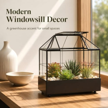 Large Tall Plant Terrarium Glass – Glass Greenhouse Terrarium with Lid and Tray,Indoor Tabletop Orchid Succulent Cacti Terrarium Kit 9.5”X9.8”X5.6”