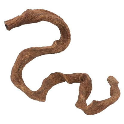 AQUA KT Reptile Twist Climber Vine Bendable Branch for Lizard Snake Bearded Dragon Crested Gecko Climbing Accessory Terrarium Habitat Decoration