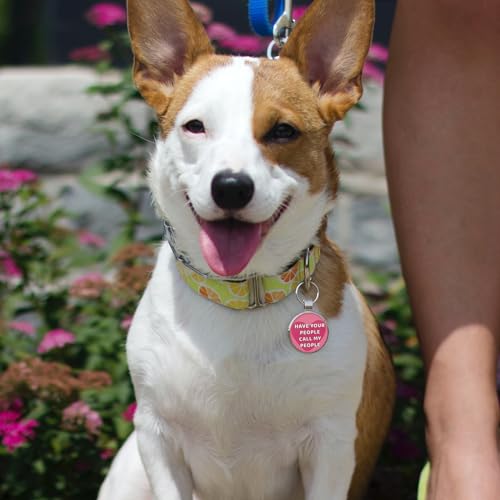 MYLUCKYTAG QR Code Pet ID | Personalized Dog & Cat Collar Tag | Online Profile with Instant Scanned Location Alert Email - style: Have your people-Pink