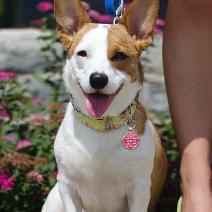 MYLUCKYTAG QR Code Pet ID | Personalized Dog & Cat Collar Tag | Online Profile with Instant Scanned Location Alert Email - style: Have your people-Pink