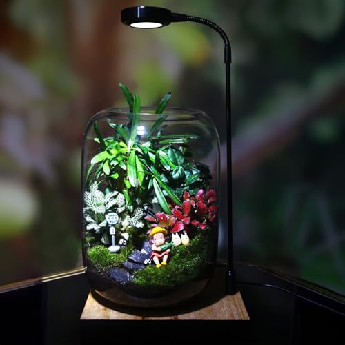 SARUFO Glass Plant Terrarium Kit, 6.3"X8.6" Micro-Landscape Vase with Light, Snowman and Pine Trees, for Home Office Tabletop Decoration, Wardian, Unique