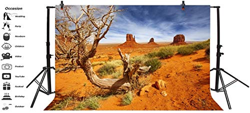 Leyiyi 5x3ft Monument Valley Photography Background American National Park Navajo Tribal Park Cowboy Western Desert Plant Rock Dry Trunk Warship Landmark Film Polyester Backdrop Terrarium Background - color: Desert4, size: 5x3ft-P