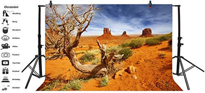 Leyiyi 5x3ft Monument Valley Photography Background American National Park Navajo Tribal Park Cowboy Western Desert Plant Rock Dry Trunk Warship Landmark Film Polyester Backdrop Terrarium Background - color: Desert4, size: 5x3ft-P