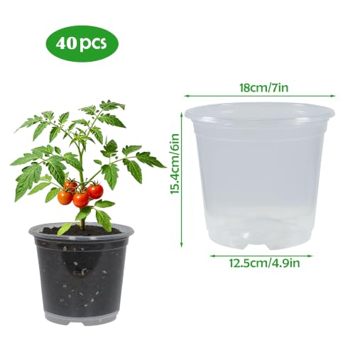 40 Pack 7 Inch Clear Nursery Pots with Drainage Plant Pots for Plants Transparent Potting Containers for Plants Seeding Starter Pot(Clear, 7 Inch 40 Pcs) - size: 7 Inch 40 Pcs