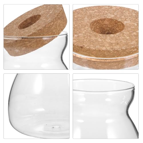 Glass Terrarium Jar for Succulent Plants with Hydroponic Hole Lid, Medium Trapezoid Glass Container for Indoor Mini Ecosystem and Plant Propagation