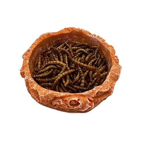Small Reptile Water Dish Food Bowls, 2 Pack Reptile Feeding Dish for Hermit Crab Bearded Dragon Lizard Leopard Gecko Tortoise Frog - color: 2 PCS Round Bowls