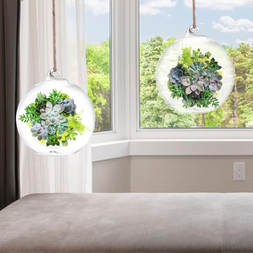 SUPVOX 6-Pack Hanging Glass Terrariums 4 Inch Orb Succulent Plant Holders with Rope for Indoor Outdoor Home Decor Tabletop and Wall Mounted Mini Garden Display