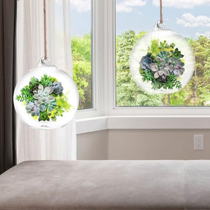 SUPVOX 6-Pack Hanging Glass Terrariums 4 Inch Orb Succulent Plant Holders with Rope for Indoor Outdoor Home Decor Tabletop and Wall Mounted Mini Garden Display