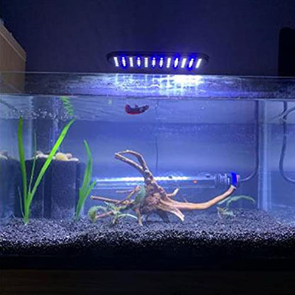 Emours Natural Aquarium Spider Wood Driftwood Tropical Fish Plant Habitat Decor Vary Sizes, 2 Pcs Set (Medium)