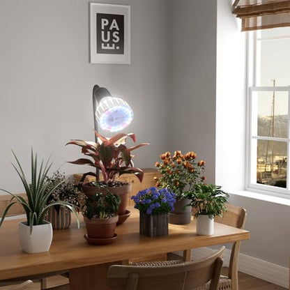 Grow Light,24W (160Watts Equiv) 5000K White Full Spectrum LED Growing Lamp Clip on Desk for Indoor Plants,Bulbs Replaceable & Non-dimmable (Black, 80W) - size: 80W