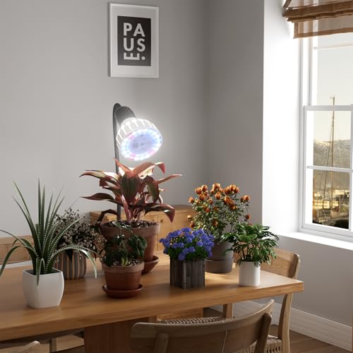 Grow Light,24W (160Watts Equiv) 5000K White Full Spectrum LED Growing Lamp Clip on Desk for Indoor Plants,Bulbs Replaceable & Non-dimmable (Black, 80W) - size: 80W