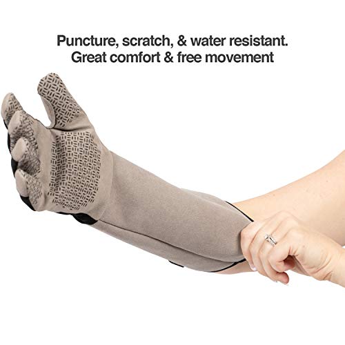 PetFusion Multipurpose Pet Grooming Gloves Great for Trips to Vet and Bathing, Puncture, Scratch & Water Resistant - size: Large