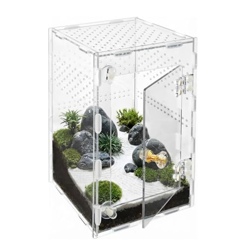 Jumping Spider Enclosure, Acrylic Terrarium for Tarantula & Reptiles, Front Opening Door Habitat for Spiders, Mantis, Frogs & Lizards (10x6x6 Inch)