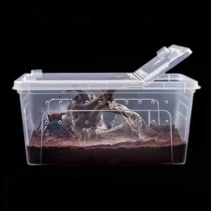 Reptile Breeding Case Feeding Box Terrarium Animal Transparent PP Container Easy Observation Suitable for Pet Hatching Transport Breeding, 27x19x12cm - size: 27x19x12cm