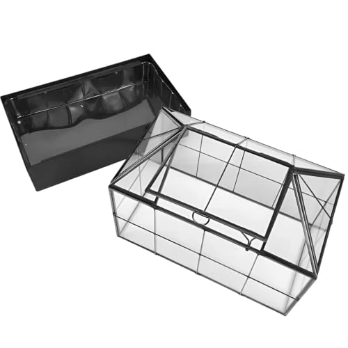 Large Tall Plant Terrarium Glass – Glass Greenhouse Terrarium with Lid and Tray,Indoor Tabletop Orchid Succulent Cacti Terrarium Kit 9.5”X9.8”X5.6”