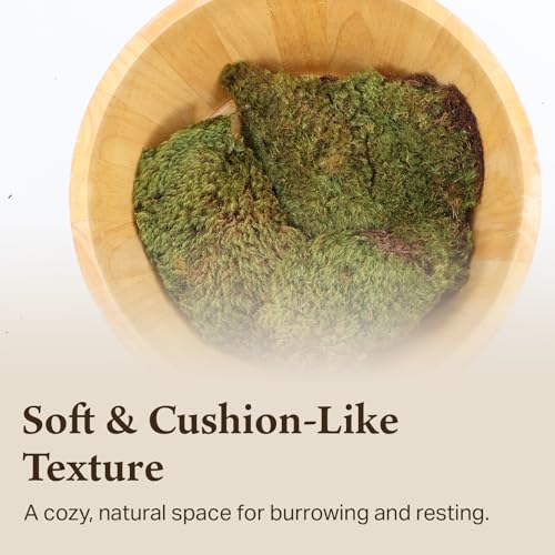 Mood Moss for Terrarium Habitats, Medium 1-Pack | Preserved Moss for Reptiles, Amphibians & Invertebrates Terrariums, Humidity Control, Soft, Dye-Free, Family Owned, USA Made - size: Medium 1-pack, style: Mood Moss