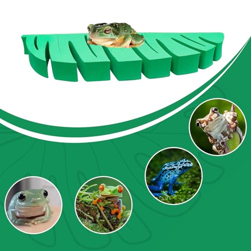 Tree Frog Terrarium Accessories, 3 Pack Green Sponge Relax Spots with Adhesive, Frog Habitat Platform, Tank Habitat Accessories for African Dwarf Frog, Toad