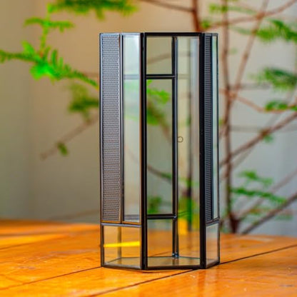NCYP Small Glass Enclosure Terrarium with Mesh and Door for Spiders - Hexagon Shape Small Mantis Vented Glass Terrarium 4.9'' x 4.3'' x 9.4'', Tabletop Decor, Black (Plants Not Include)