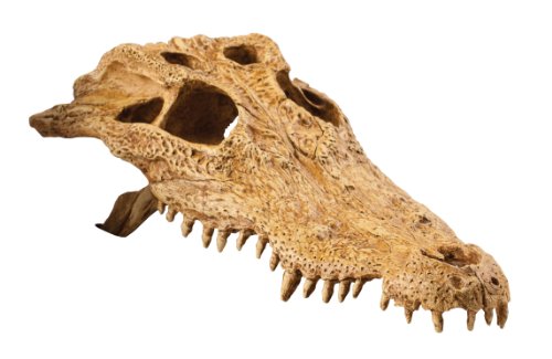 Exo Terra Crocodile Skull Terrarium D - style: Crocodile