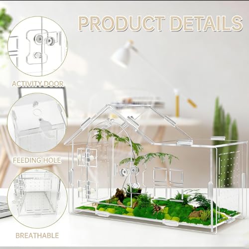 Jumping Spider Enclosure, Acrylic Habitat, 1 Pack | Secure Feeding Port & Ventilation, Ideal Treehouse for Arboreal Spiders, Easy-Clean Terrarium