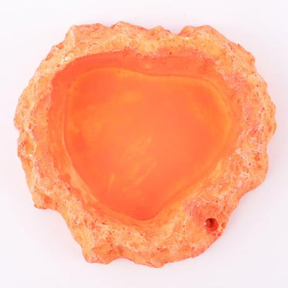 Reptile Feeding Bowl with Skid-Resistant Base, Simulation Food and Water Dish for Lizards and Turtles, Sturdy Plastic Terrarium Feeder for Crawling Pets and Amphibians