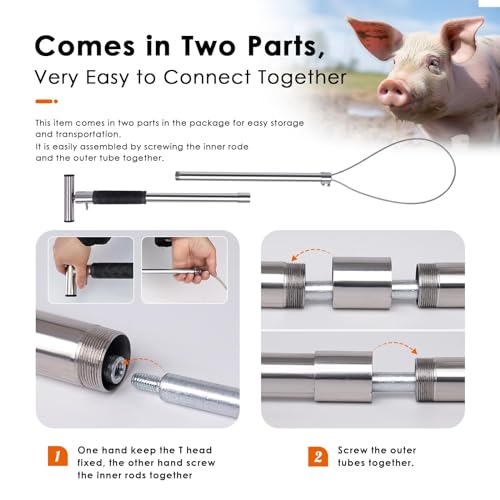 Dog Catcher Pole Animal Control Pole, Rod Length 30 inches | Stainless Steel Pig Holder Catcher Cat Catcher Pole, Heavy Duty Catch Pole for Animals Cats Hogs Pigs and Small/Medium Dogs