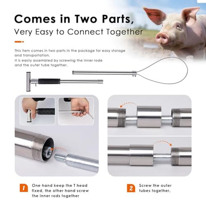 Dog Catcher Pole Animal Control Pole, Rod Length 30 inches | Stainless Steel Pig Holder Catcher Cat Catcher Pole, Heavy Duty Catch Pole for Animals Cats Hogs Pigs and Small/Medium Dogs