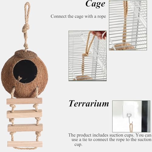 HERCOCCI Gecko Tank Accessories, Hermit Crab Toys Coconut Shell | Natural Coconut Husk Hut with Climbing Ladder with Suction Cup for Leopard Gecko Snake Reptiles