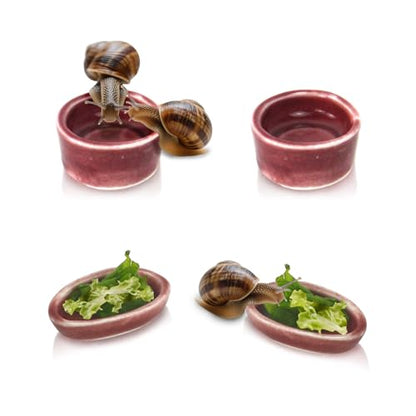 4 Pack Snails Feeding Dish Set for Land Snails, Snail Food and Water Bowl - Calcium Food Bowl & Water Tray, Mini Pet Supplies, Durable Snail Tiny Pet Dishes