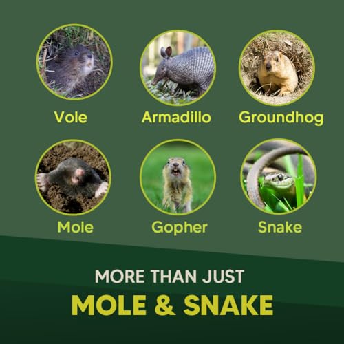 Mole & Snake Repellent, Gopher Repellent Outdoor, Vole & Snake Repellent for Yard, Armadillo & Groundhogs Deterrent for Lawn Pet Safe, Keep Snake Away for Garden/Garage, Safe to Use-8P - size: 1 Ounce (Pack of 8)