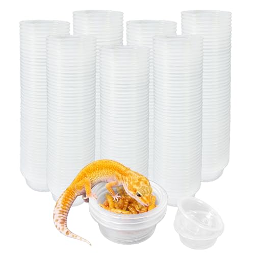 Tfwadmx 0.5oz 500pcs Gecko Feeding Cups, Reptile Food Dish and Water Cups Reptile Feeding Bowls Gecko Tank Accessories for Lizards Snake Crabs - size: 0.5oz 500pcs