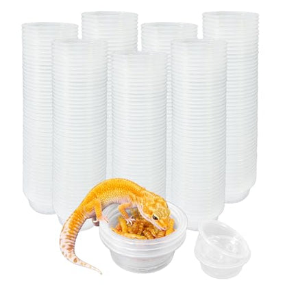 Tfwadmx 0.5oz 500pcs Gecko Feeding Cups, Reptile Food Dish and Water Cups Reptile Feeding Bowls Gecko Tank Accessories for Lizards Snake Crabs - size: 0.5oz 500pcs
