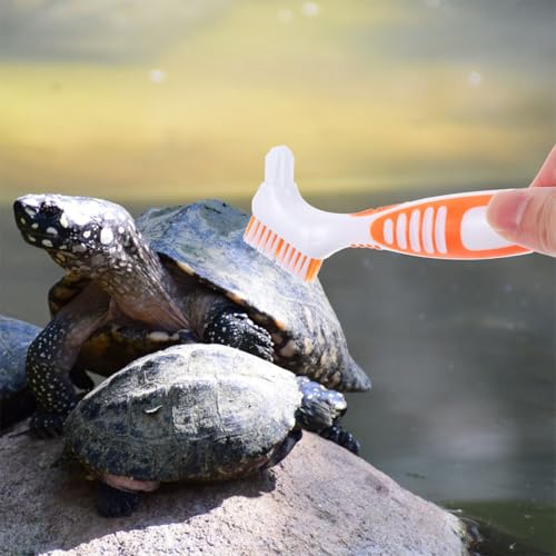 BESPORTBLE 3pcs Turtle Cleaning Brushes Portable Mud Remover for Aquatic Tortoise and Turtle Tank Use, Orange Sturdy Brush Set for Reptile Shell Maintenance