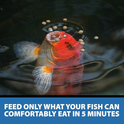 CrystalClear Staple Pond Fish Food for Koi & Goldfish, 40 Pound Bucket | Protein packed floating pellets for summer nutrition with easy digestion to support healthy growth and vitality - size: 39.68 Pound (Pack of 1)