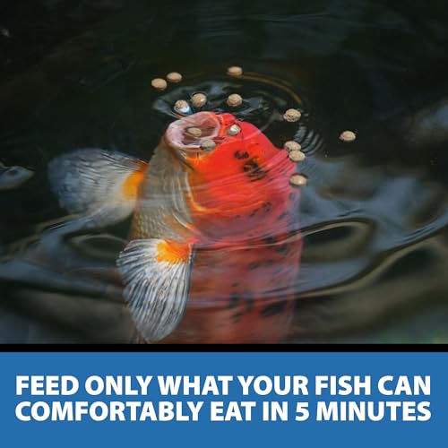CrystalClear Staple Pond Fish Food for Koi & Goldfish, 17.6 Pound Bucket | Protein packed floating pellets for summer nutrition with easy digestion to support healthy growth and vitality - size: 17.6 Pound (Pack of 1)