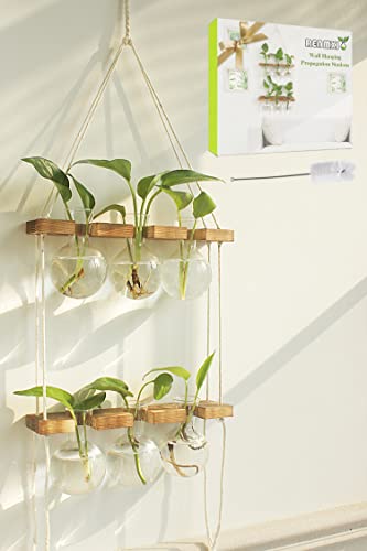 Plant Propagation Station Wall Hanging with 2 Tiered Wooden Stand | Plant Terrarium for Hydroponics Plants, Unique Gardening Gifts for Women Mom Plants Lovers - 6 Bulb Glass Vases - size: 2 Tiers - 6 Vases