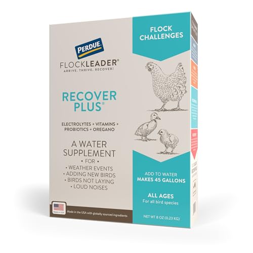 Recover Plus Moderate Stress Probiotic Water Supplement for Chickens with Electrolytes & Oregano, 8 oz - size: 8 Ounce (Pack of 1), style: Recover Plus