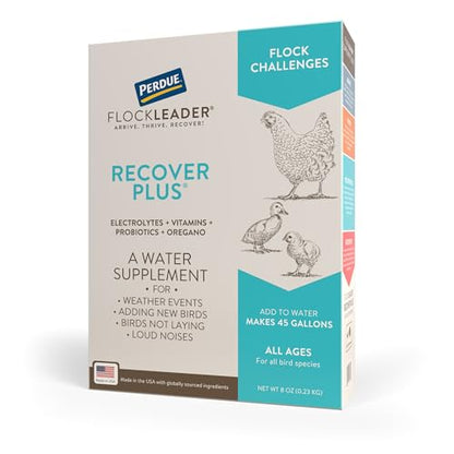 Recover Plus Moderate Stress Probiotic Water Supplement for Chickens with Electrolytes & Oregano, 8 oz - size: 8 Ounce (Pack of 1), style: Recover Plus