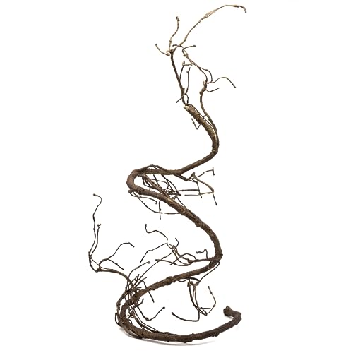 Pangea Reptile Ultimate Vine for Terrarium Habitat (Brown) | 6 ' Long Large Diameter Foam Vine for Reptile Enclosures, Bendable, Humidity Resistant, Bendy Offshoot Branches - color: Brown