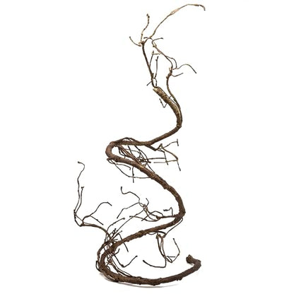 Pangea Reptile Ultimate Vine for Terrarium Habitat (Brown) | 6 ' Long Large Diameter Foam Vine for Reptile Enclosures, Bendable, Humidity Resistant, Bendy Offshoot Branches - color: Brown