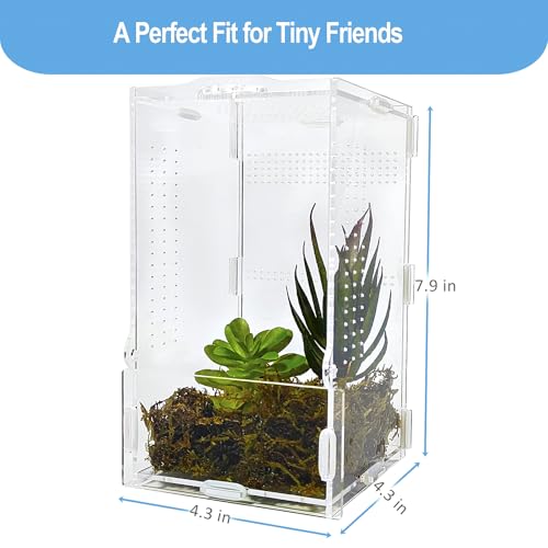 Jumping Spider Enclosure, Arboreal Tarantula Enclosure, Praying Mantis Terrarium Critter Cage for Jumping Spider, Tarantula Slings, Snail, Isopods, Beetles, Millipedes, Springtails - size: Small