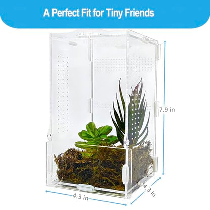 Jumping Spider Enclosure, Arboreal Tarantula Enclosure, Praying Mantis Terrarium Critter Cage for Jumping Spider, Tarantula Slings, Snail, Isopods, Beetles, Millipedes, Springtails - size: Small