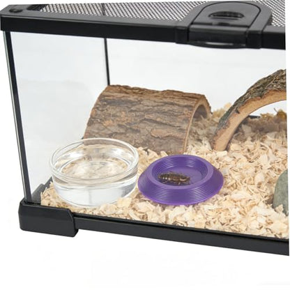 ibasenice 12pcs Reptile Feeding Dish Set with Portable Plastic Bowls for Gecko and Spider, Nontip Base Design for Home Use and Transporting