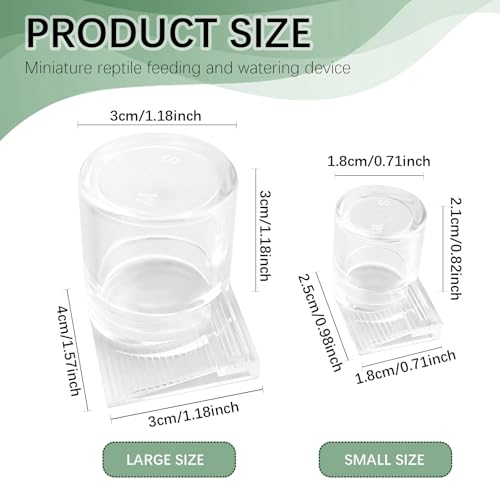 2pcs Mini Ant Water Feeder - Transparent Liquid Feeding Bowls for Ant Farms Small Reptiles Ideal Insect Drinking Tools