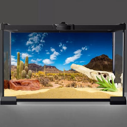 AWERT 36x24 inches Reptile Habitat Background Blue Sky Oasis Cactus Desert Terrarium Background Vinyl - size: 36x24in/90x60cm