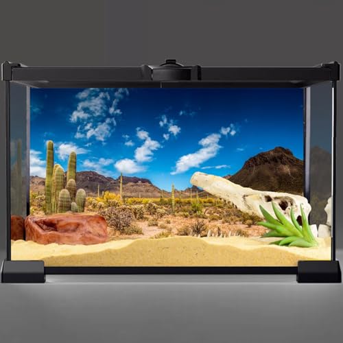 72x24 in Reptile Habitat Background Blue Sky Cactus Desert Tank Backdrop | AWERT Desert Oasis Terrarium Background, Vinyl - size: 72x24in/180x60cm