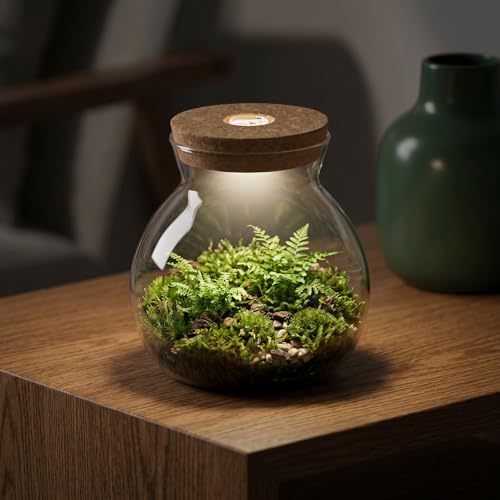 Abaodam Glass Terrarium Jar with Led Light Base, Small Container for Indoor Plants, DIY Micro Landscape Ecosystem Kit for Fish Tank Desktop Decor