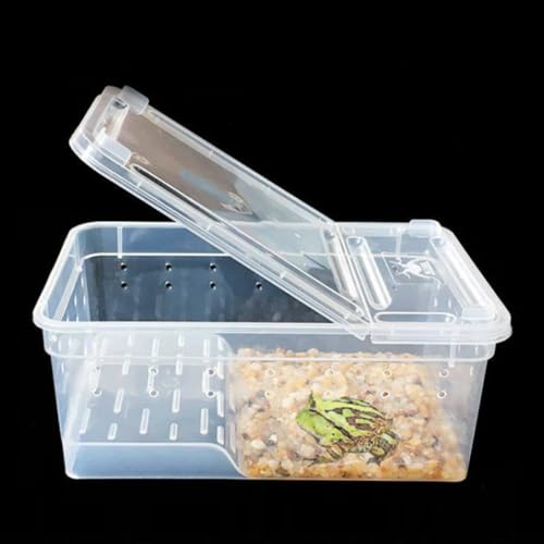 Large Transparent Turtle Tank Aquarium with Non-Slip Ramp and Basking Platform Amphibious Habitat for Reptiles Tortoises Frogs and Aquatic Pets Easy Water Change and Exercise Tank